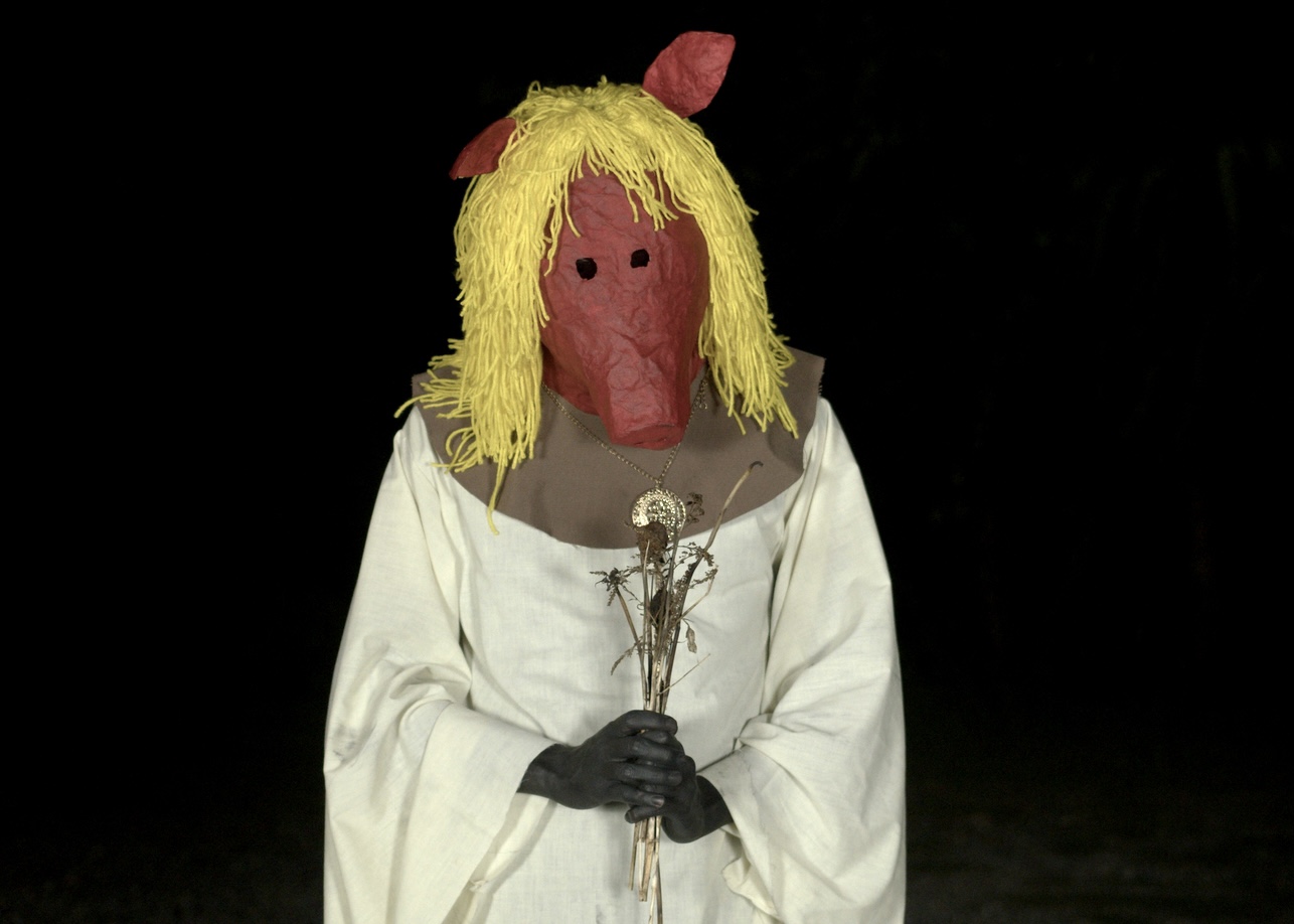 A red faced pig with yellow hair and a beige robe holds flowers against a black sky