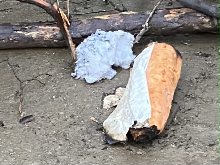 The charred remains of the scarecrow